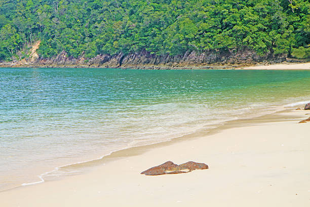 Tropical beach stock photo