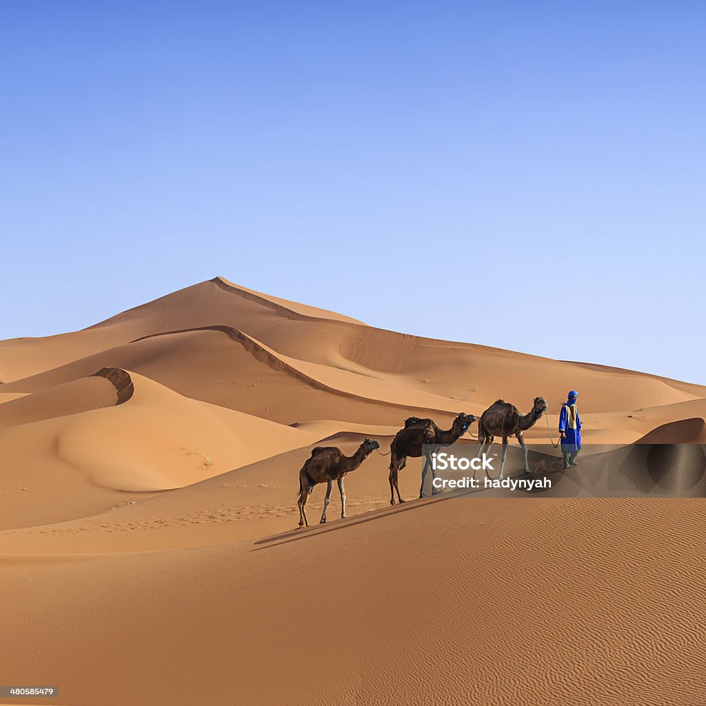 Jovem Tuaregue com camelo no Saara Ocidental na África - Royalty-free Saara Foto de stock