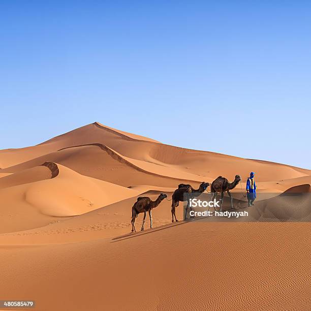 Jovem Tuaregue Com Camelo No Saara Ocidental Na África - Fotografias de stock e mais imagens de Saara