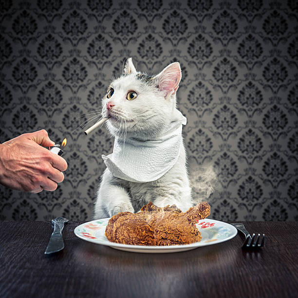 Dinner time Dinner time cigarette photos stock pictures, royalty-free photos & images
