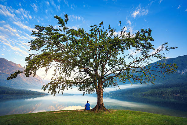 Under The Tree Man in blue shirt sitting under the tree by the Lake Bohinj, Slovenia. gorenjska stock pictures, royalty-free photos & images