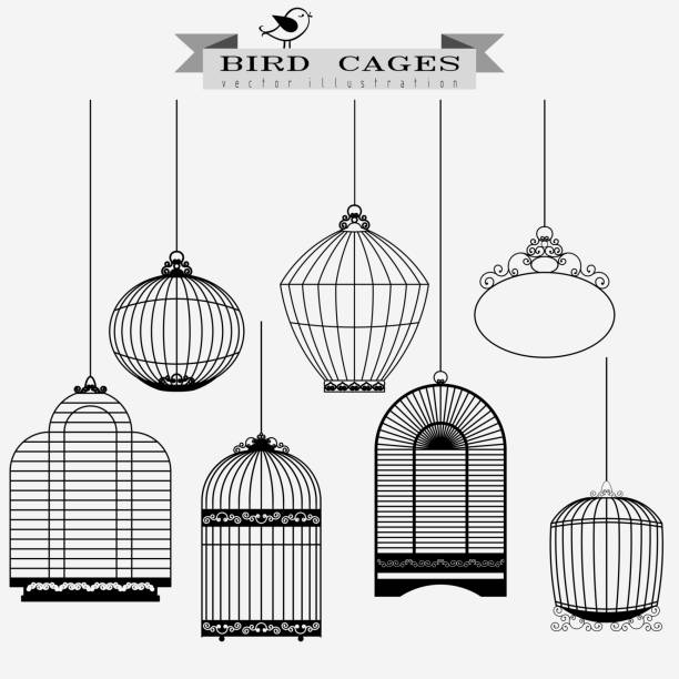 ilustrações, clipart, desenhos animados e ícones de conjunto de pássaros cativeiro - prison cell door
