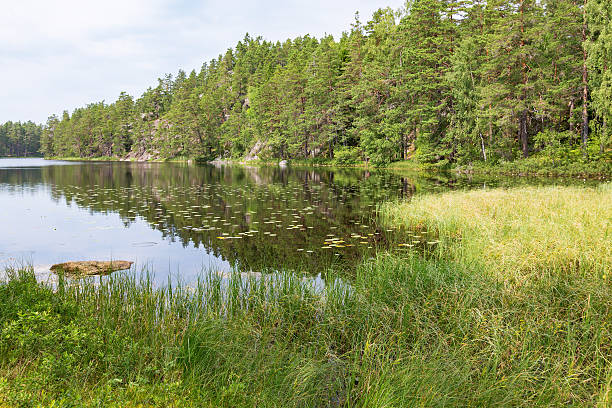 istock Beach on a lake in the wilderness 480589156