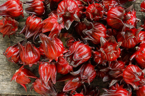 istock Hibiscus sabdariffa or roselle fruits 480593035