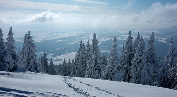 istock Typical Winter landscape in Switzerland 480593395