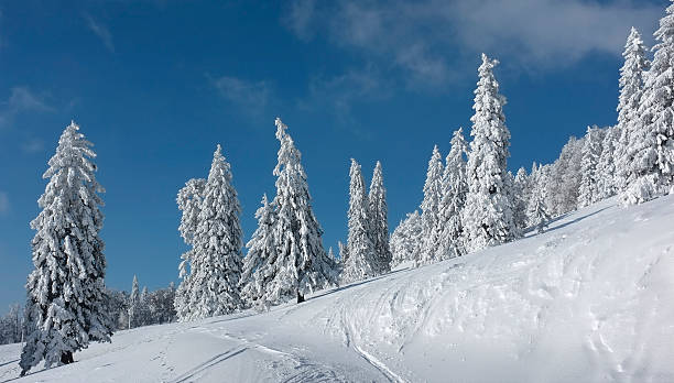 istock Typical Winter landscape in Switzerland 480593425