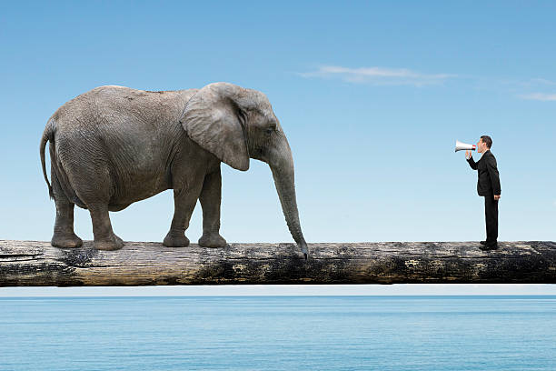 istock Businessman using speaker yelling at elephant on single wooden b 480593714