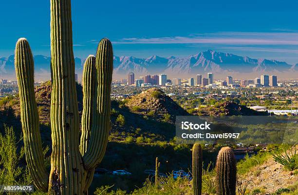 Горизонта И Cactuses Phoenix — стоковые фотографии и другие картинки Финикс - Аризона - Финикс - Аризона, Аризона - Юго-запад США, Линия горизонта