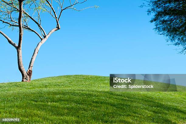 Toczenia Trawa Hills - zdjęcia stockowe i więcej obrazów Bez ludzi - Bez ludzi, Bezchmurne niebo, Drzewo