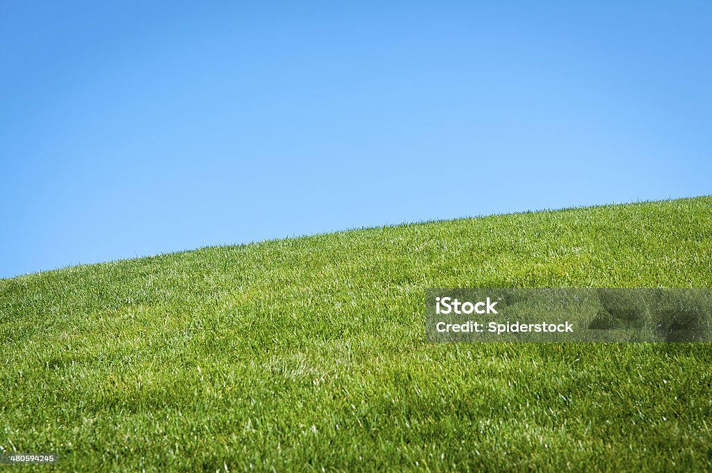 Colinas ondulantes de hierba - Foto de stock de Agricultura libre de derechos