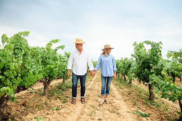 istock Senior couple walking through vineyards. 480596020