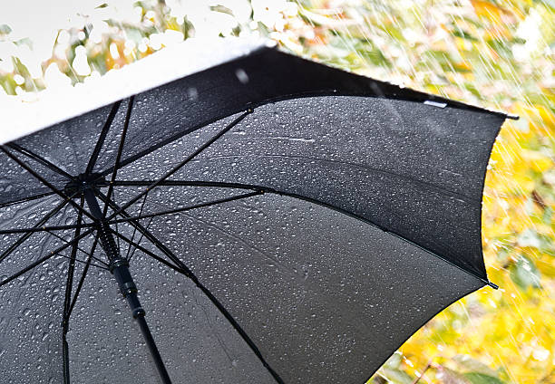istock detail of umbrella 480596577