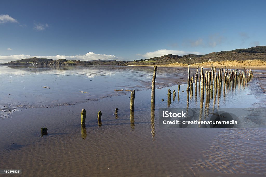 Leben In der Pampa auf Mersehead Beach - Lizenzfrei Küstenlandschaft Stock-Foto