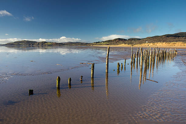 In the Sticks on Mersehead Beach stock photo