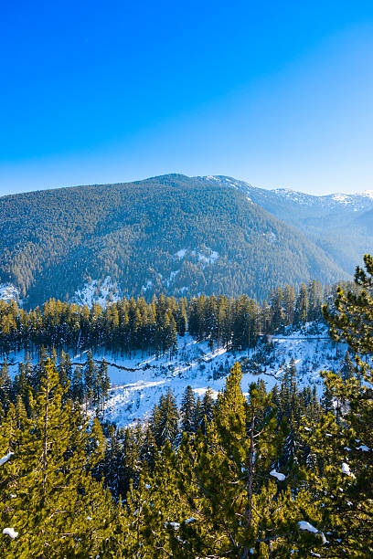 istock open door with  view  green meadow illuminated by bright suns 480598931