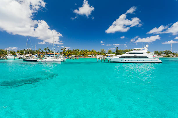 Opulent image of a yacht near some smaller boats.