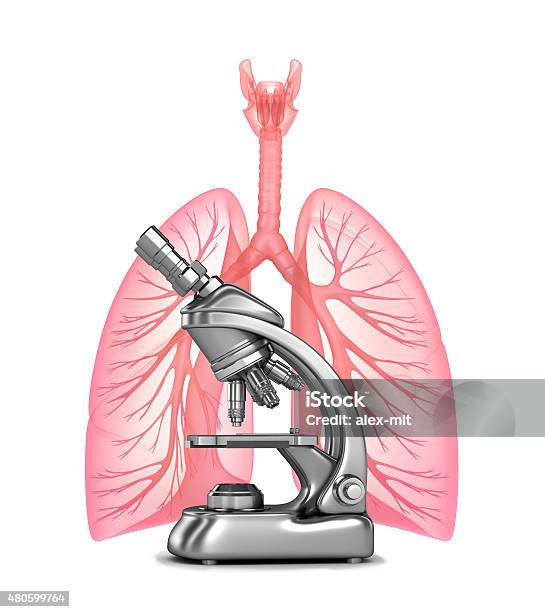 Foto de Pesquisa De Pulmões E Brônquio Humanos e mais fotos de stock de 2015 - 2015, Anatomia, Biologia