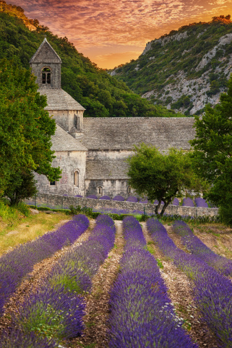 Senanque Abbey with blooming lavender field at dusk. 