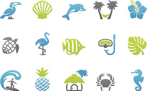 illustrazioni stock, clip art, cartoni animati e icone di tendenza di stampico icone-tropicale - white background fruit vacations nature