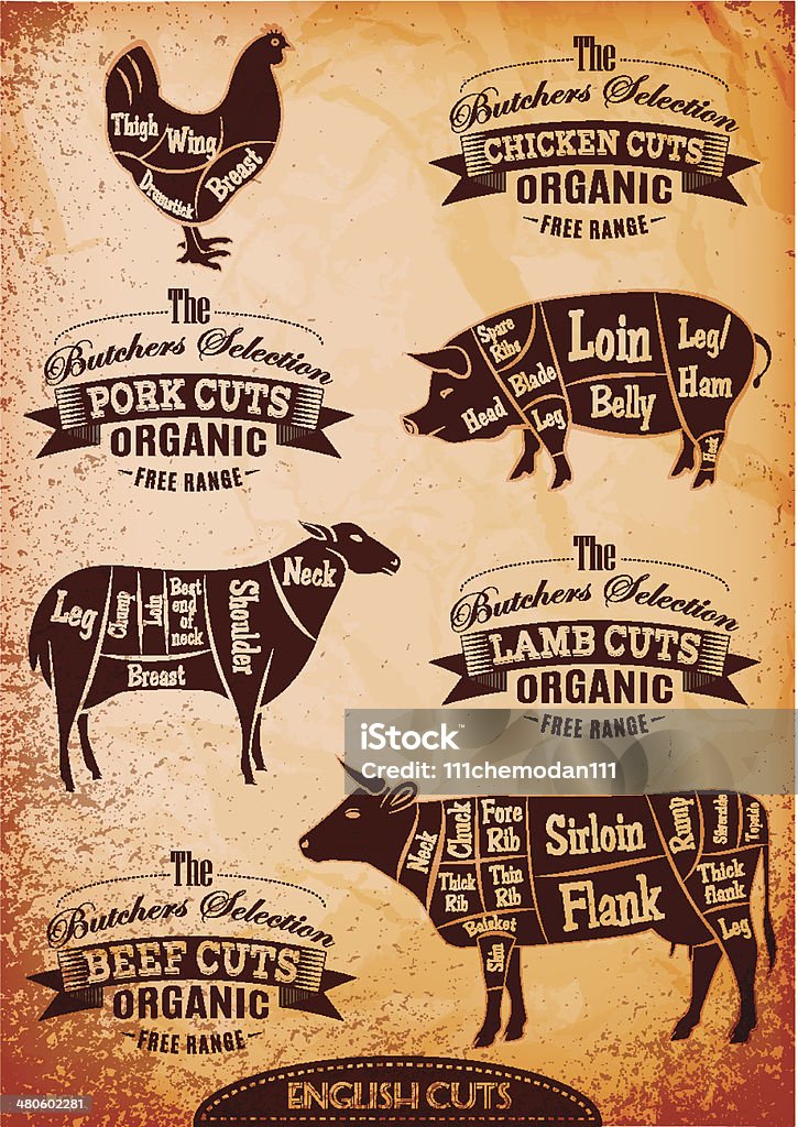 Diagramma vettoriale di carcasse di pollo, maiale, mucca, agnello - arte vettoriale royalty-free di Carne di vitello