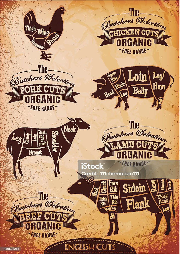 vector diagram cut carcasses chicken, pig, cow, lamb vector diagram cut carcasses of chicken, pig, cow, lamb Chicken - Bird stock vector