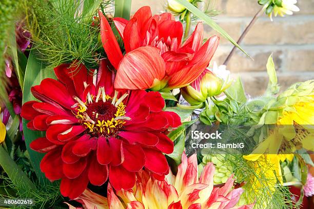 Flowers Stock Photo - Download Image Now - Beauty In Nature, Bouquet, Dahlia