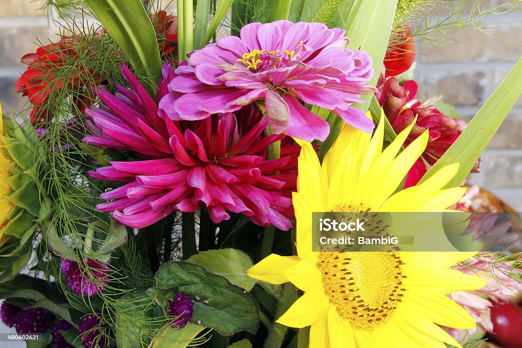 fiori - Foto stock royalty-free di Ambientazione esterna