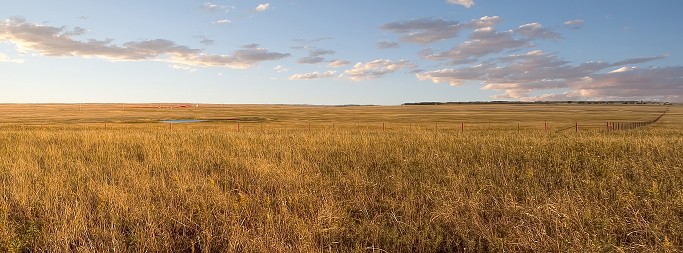 Tall Grass Prairie Preserve in Oklahoma