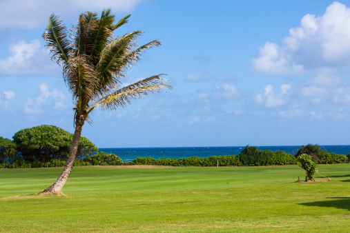Golf course on the ocean in Kauai, Hawaii.  RM
