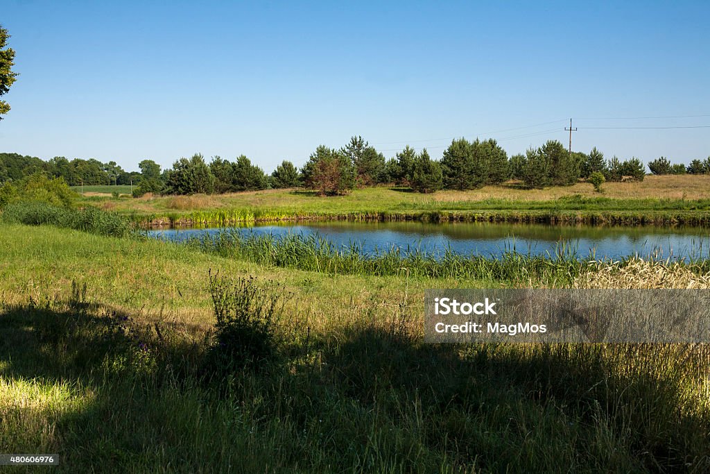 Landscape, pond 2015 Stock Photo