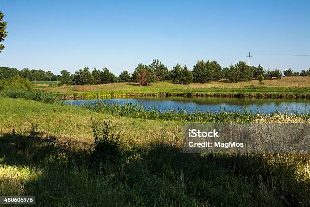 Landscape Pond Stock Photo - Download Image Now - 2015, Animal Wildlife, Environment