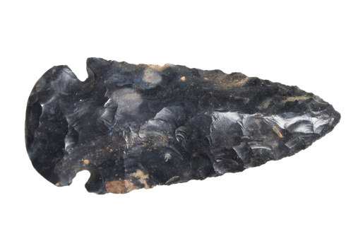 Keichousaurus hui sauropterygian fossil from China