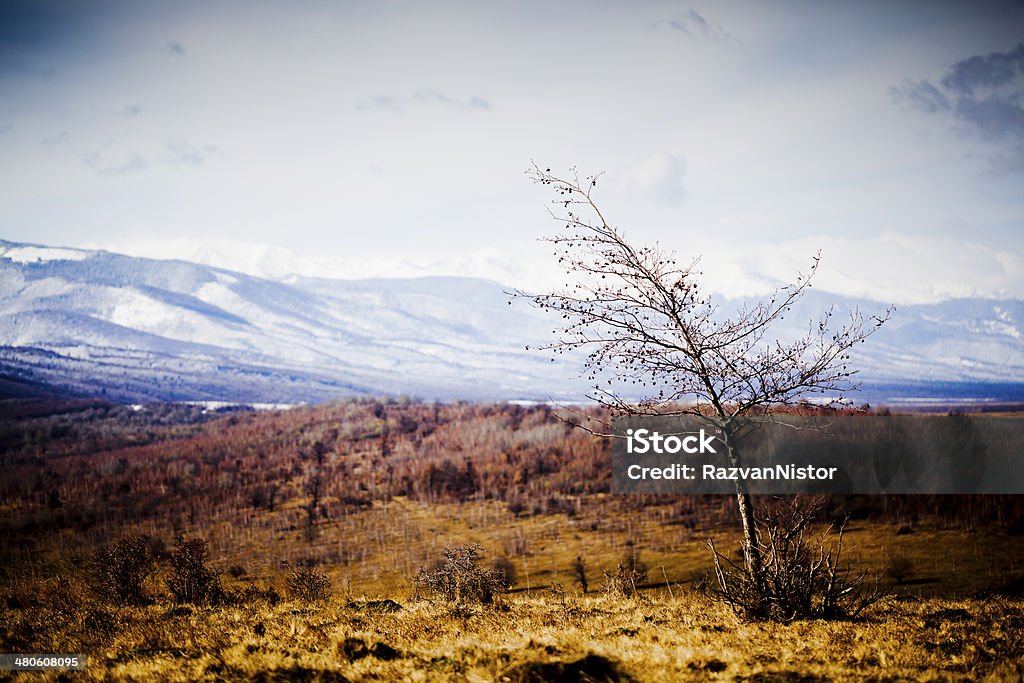 Carpatian Mountains - Lizenzfrei Gebirgskamm Stock-Foto
