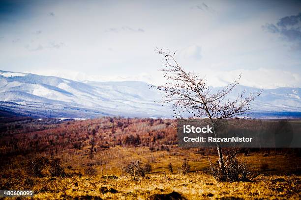 Carpatian Mountains Stockfoto und mehr Bilder von Gebirgskamm - Gebirgskamm, Mountain View - Kalifornien, Russland