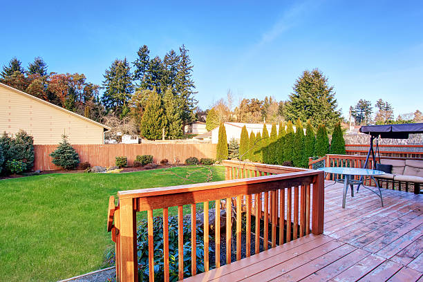 istock Large back yard with lots of grass and deck. 480609722