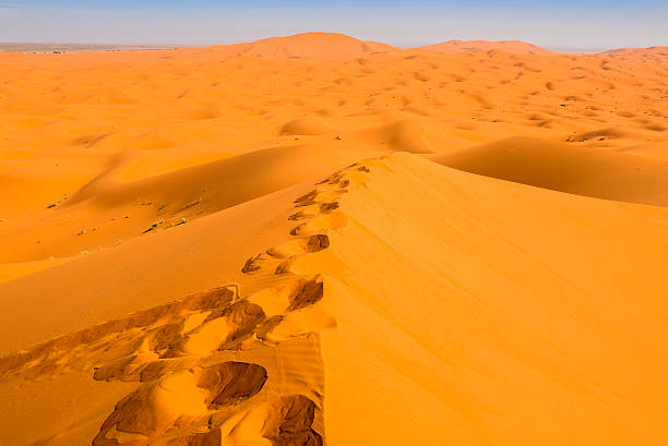 istock Sand dunes in the Sahara Desert, Merzouga, Morocco 480609774