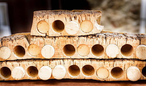 craft industry of cork stoppers - mantar ağacı stok fotoğraflar ve resimler