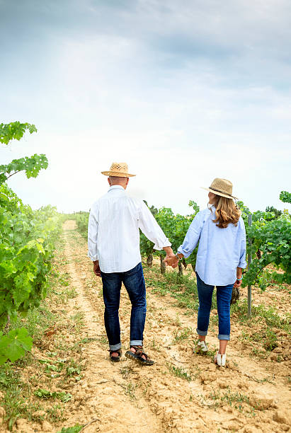 istock Mature coouple walking through a vineyard. 480610650