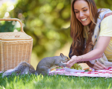 Shot of an attractive woman feeding a squirrel while enjoying a picnic