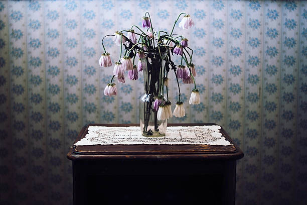 wilted des fleurs dans un vase avec vieux papier peint - vegetation morte photos et images de collection