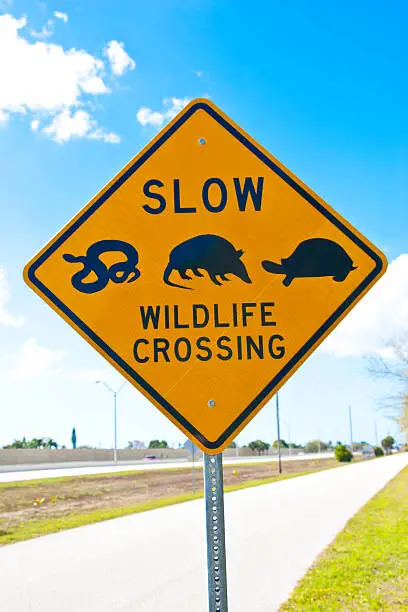 Warning sign "Slow Wildlife Crossing" at a Service lane close to a american highway in southern Florida, USA.