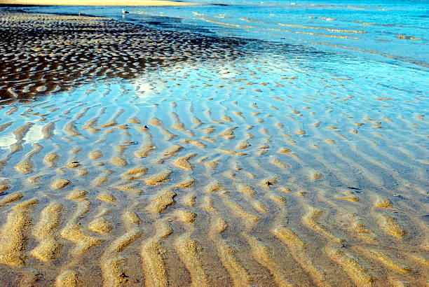 istock Ripples in Sand, Marahau, Abel Tasman National Park 480612087