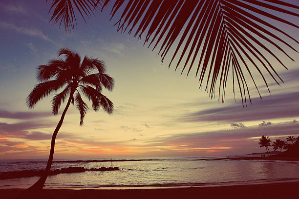 Drawing a picture of sunset in the middle of the sea behind a small island