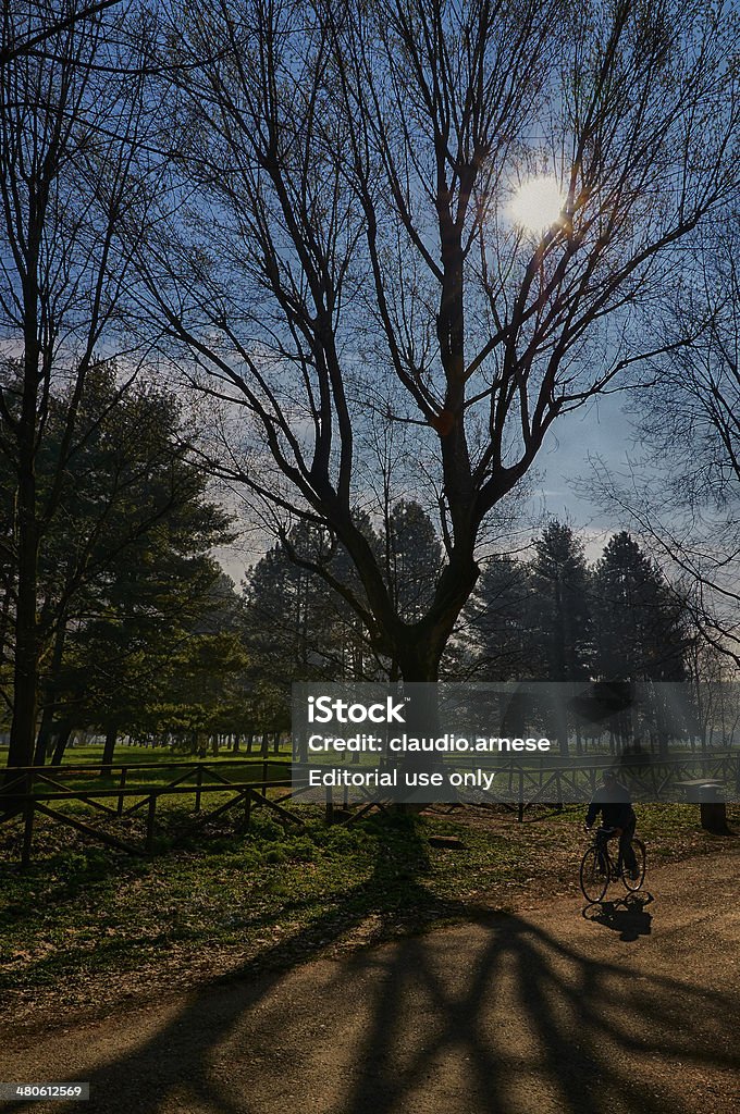 City Park.   Immagine a colori - Foto stock royalty-free di Adulto