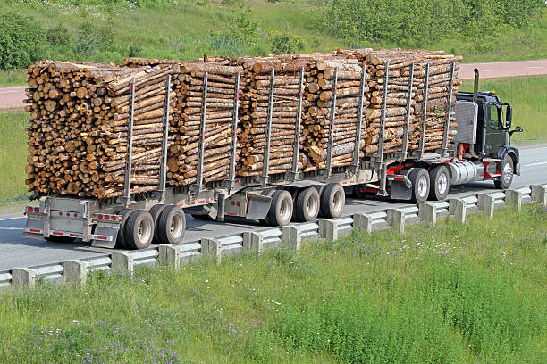 istock Semi Truck Hauling Logs To A Mill 480613876