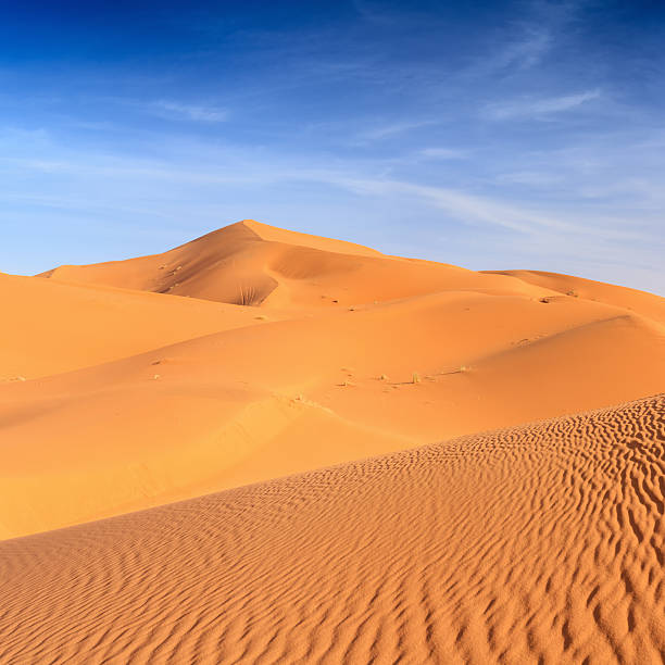 istock Panoramic view of Western Sahara Desert, Africa 480614329