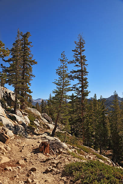 istock The mountain top Half Doum in Yosemite 480614458