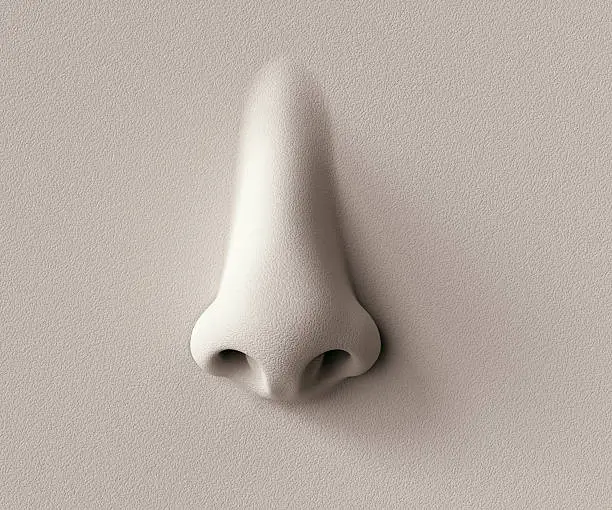 Human nose protruding off the wall.