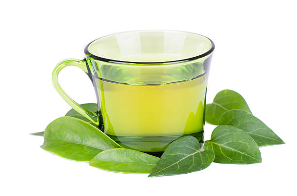 istock glass cup with fresh green tea leaves 480618015