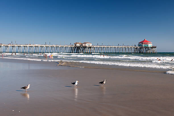 istock Huntington Beach Pier, California 480619467